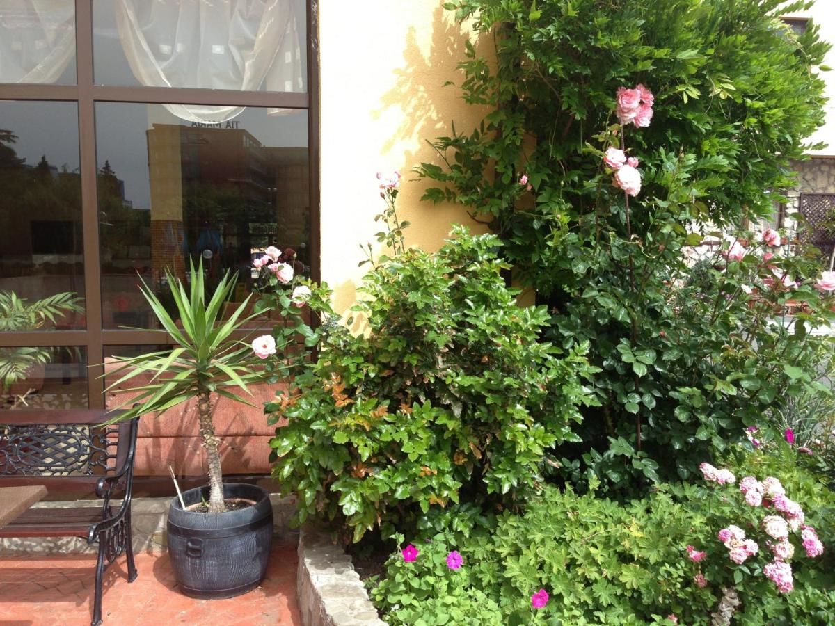 Отель Hotel Trakia Garden - Half Board Солнечный Берег-22