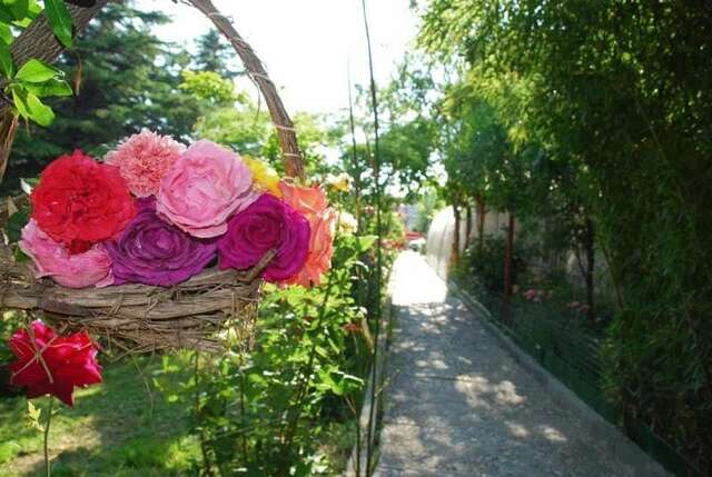 Отель Hotel Trakia Garden - Half Board Солнечный Берег-29